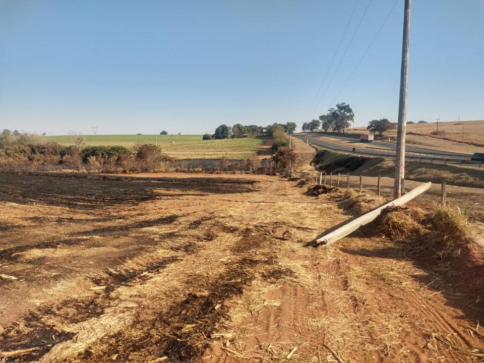 Foto 8 de 8 — Empresa é autuada em mais de R$ 1,4 milhão após queimada destruir área em Matão